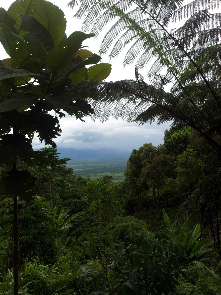 Pemandangan dari atas Desa Lampasio, Tolitoli